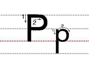 字母Pp的标准写法