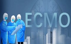 ECMO是什么意思_ecmo英语怎么读_ecmo为什么这么贵？