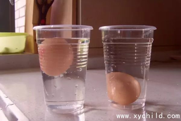 为什么鸡蛋会在盐水里浮起来