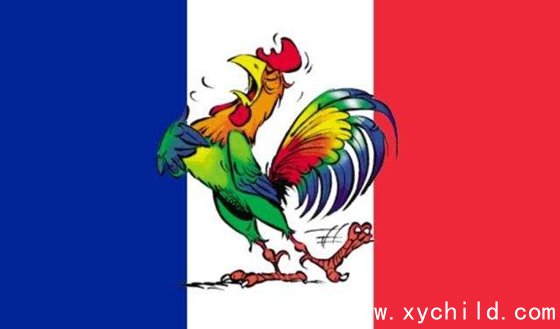 法国为什么叫高卢雄鸡,高卢雄鸡是是什么意思
