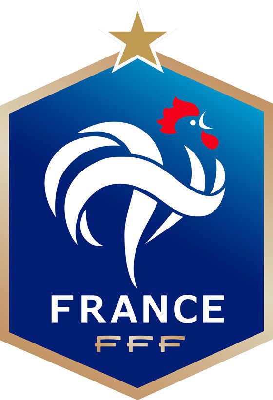 法国足球队队徽