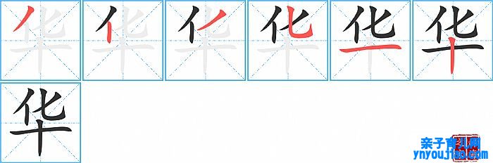 华的笔顺、笔画