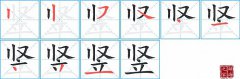 竖的笔顺笔画如何写？竖的拼音、部首、意思及组词