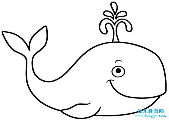 为什么鲸鱼会喷水,鲸鱼经常喷水柱的原因