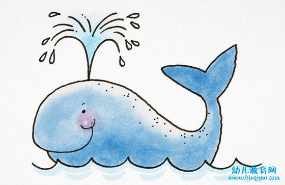 为什么鲸鱼会喷水,鲸鱼经常喷水柱的原因
