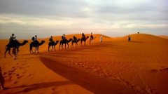 为什么说骆驼是“沙漠之舟”？