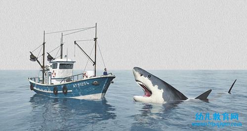 鲨鱼为什么要撞船,鲨鱼撞船为了什么