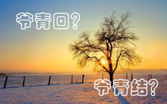 爷青回和爷青结是什么意思_爷青回和爷青结的区别