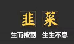 割韭菜是什么意思_股市的割韭菜是怎么回事？