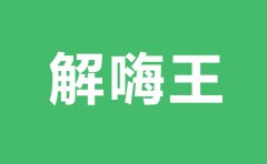 解嗨王是什么意思_解嗨王是什么梗？