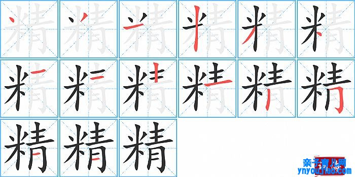精的笔顺、笔画