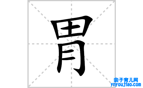 胃的笔顺笔画怎么写