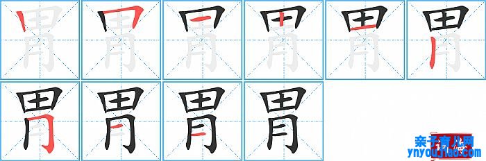 胃的笔顺、笔画