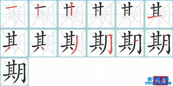 期的笔顺、笔画