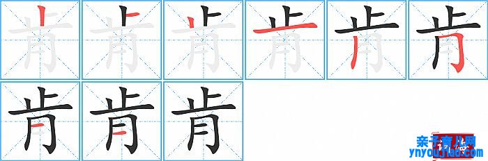 肯的笔顺、笔画