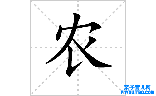 农的笔顺笔画怎么写