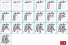 藤的笔顺笔画怎么写？汉字藤的拼音、部首词语组词