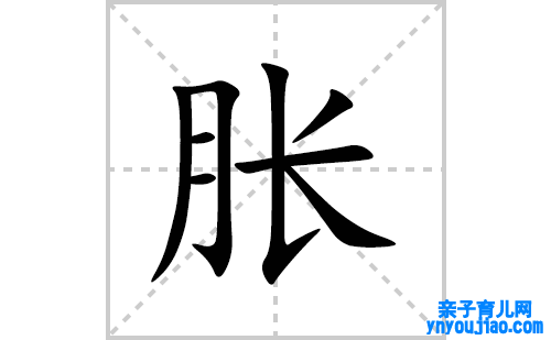 胀的笔顺笔画怎么写(胀的拼音、部首、表明及成语解读)