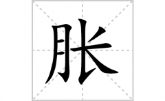 胀的笔顺笔画怎么写？汉字胀的拼音、部首词语组词