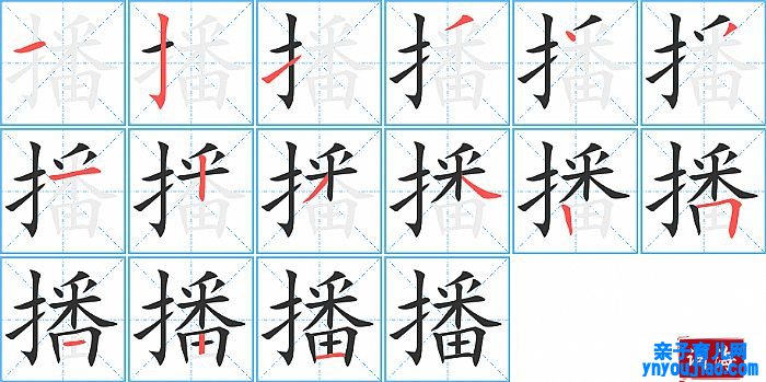 播的笔顺、笔画