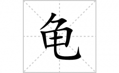 龟的笔顺笔画怎么写？汉字龟的拼音、部首词语组词