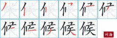 候的笔顺笔画怎么写？汉字候的拼音、部首词语组词