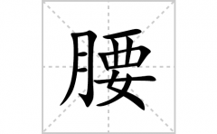 腰的笔顺笔画怎么写？汉字腰的拼音、部首词语组词