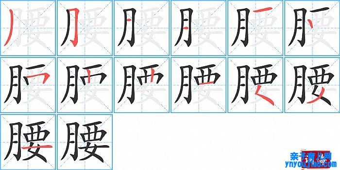 腰的笔顺、笔画