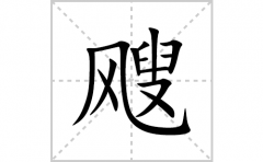 飕的笔顺笔画怎么写？汉字飕的拼音、部首词语组词