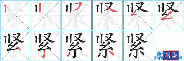 紧的笔顺、笔画
