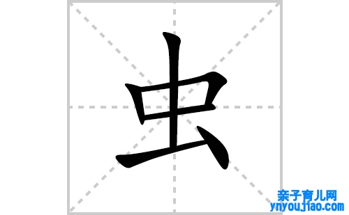 虫的笔顺笔画怎么写(虫的拼音、部首、表明及成语解读)