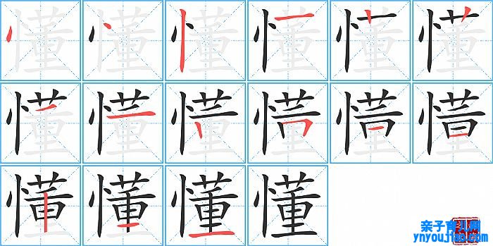 懂的笔顺、笔画