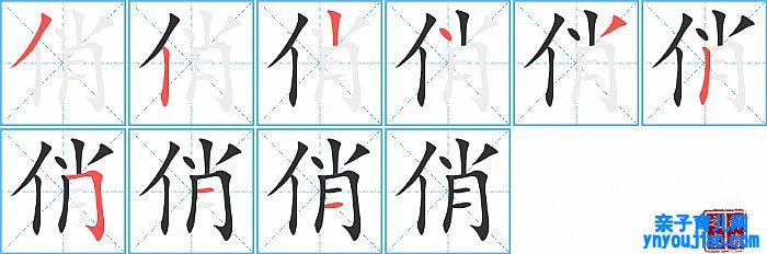 俏的笔顺、笔画