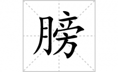 膀的笔顺笔画怎么写？汉字膀的拼音、部首词语组词