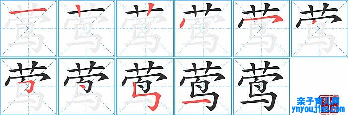 莺的笔顺、笔画