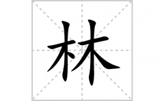 林的笔顺笔画怎么写？汉字林的拼音、部首词语组词
