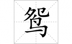鸳的笔顺笔画怎么写？汉字鸳的拼音、部首词语组词