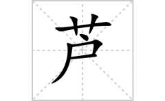 芦的笔顺笔画怎么写？汉字芦的拼音、部首词语组词