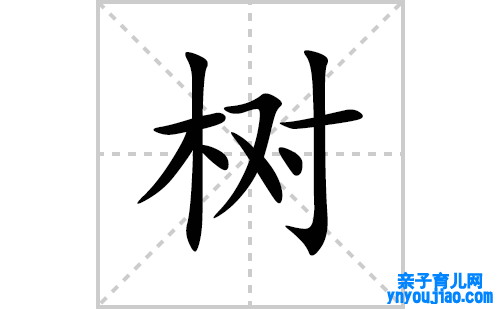树的笔顺笔画怎么写(树的拼音、部首、表明及成语解读)