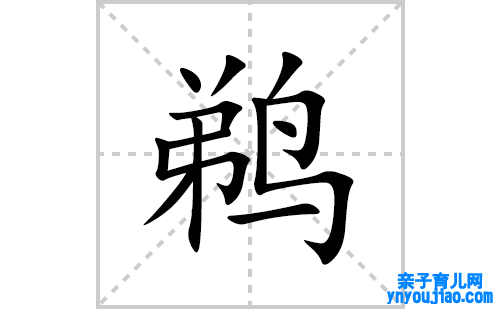 鹈的笔顺笔画怎么写(鹈的拼音、部首、表明及成语解读)