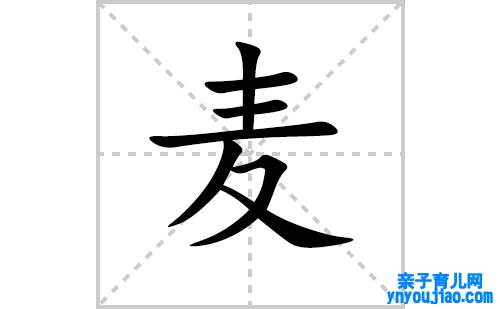 麦的笔顺笔画怎么写（麦的笔画、拼音、表明及成语详解）