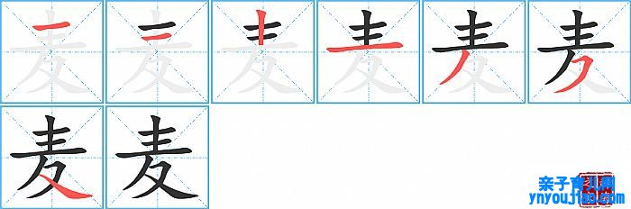 麦的笔顺、笔画