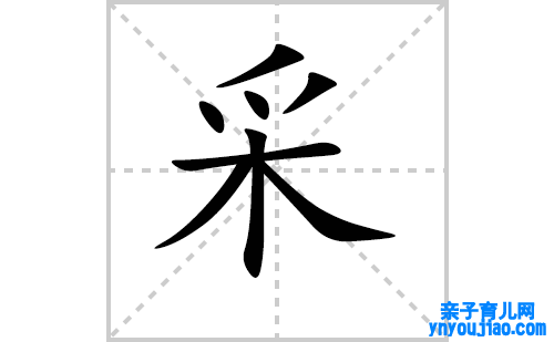 采的笔顺笔画怎么写（采的笔画、拼音、表明及成语详解）