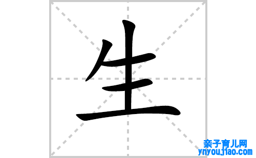 生的笔顺笔画怎么写（生的笔画、拼音、表明及成语详解）