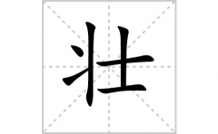 壮的笔顺笔画怎么写-解读汉字壮的笔画、拼音及成语组词