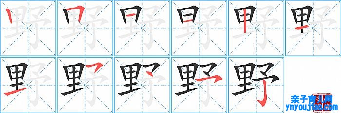 野的笔顺、笔画