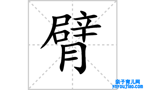 臂的笔顺笔画怎么写（臂的笔画、拼音、表明及成语详解）