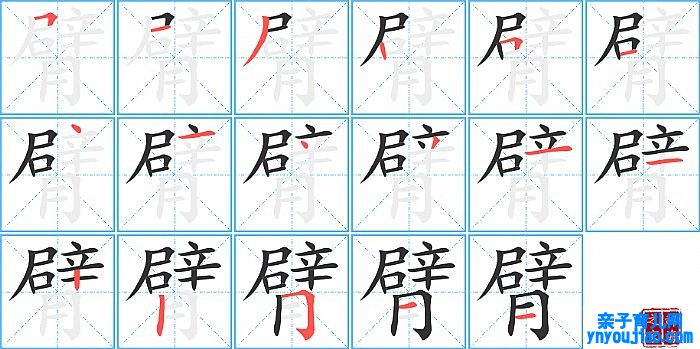 臂的笔顺、笔画