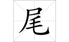 尾的笔顺笔画怎么写？汉字尾的拼音、部首词语组词