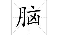 脑的笔顺笔画怎么写-解读汉字脑的笔画、拼音及成语组词